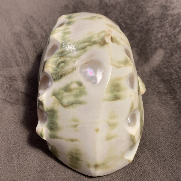 Antique Carved Green Turbo Shell Basket - Picture 5 of 9